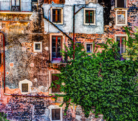 Similar image 13134456