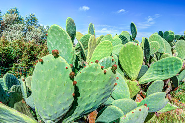 Similar image 13134644