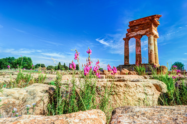 Similar image 13134660