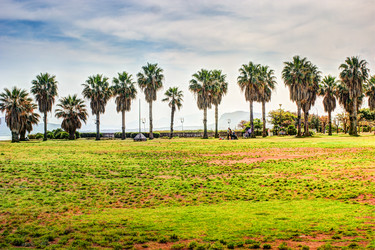 Similar image 13134692