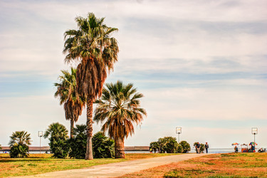 Similar image 13134706