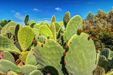 Similar image 13134707