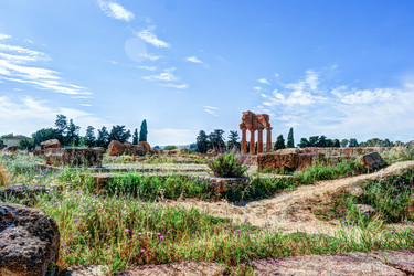 Similar image 13134736