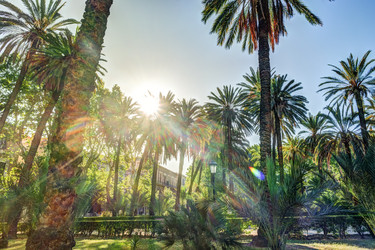 Similar image 13134803