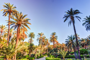 Similar image 13134833