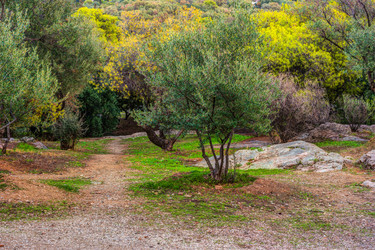 Similar image 13134928