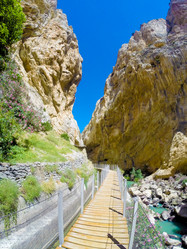 Similar image 13133616