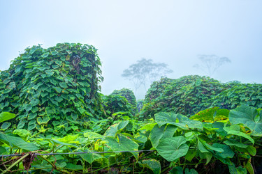 Similar image 13133635