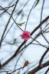 Similar image 13133679