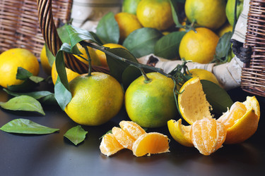 Similar image 13146453