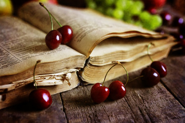 Similar image 13146093