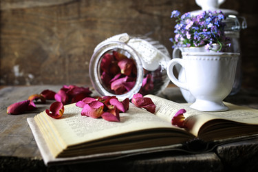 Similar image 13146113