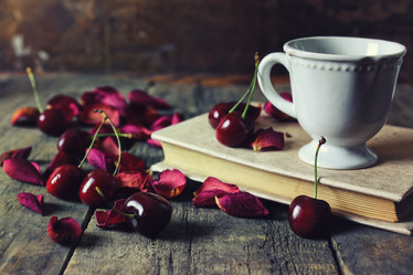 Similar image 13146132