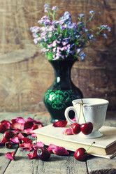 Similar image 13146133