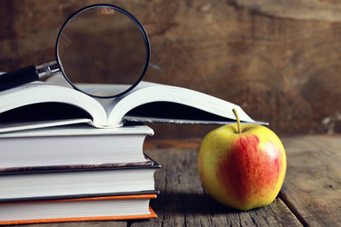 Similar image 13146150