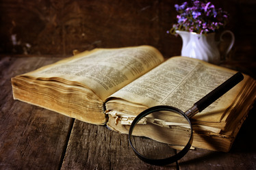 Similar image 13146175