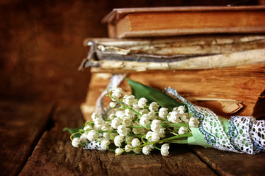 Similar image 13146592