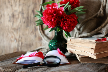 Similar image 13146033