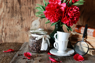 Similar image 13146034