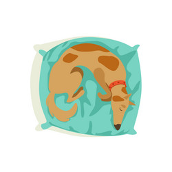 Similar image 13127475