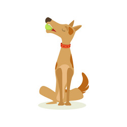 Similar image 13127515