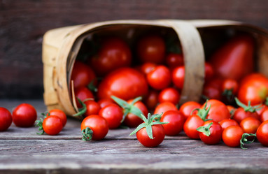 Similar image 13146639