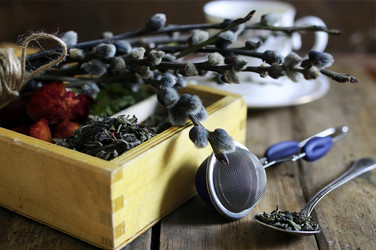 Similar image 13146515