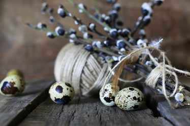 Similar image 13146517