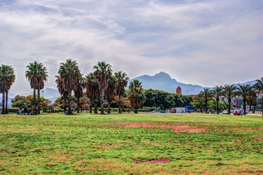 Similar image 13134346