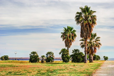 Similar image 13134421