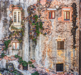 Similar image 13134493