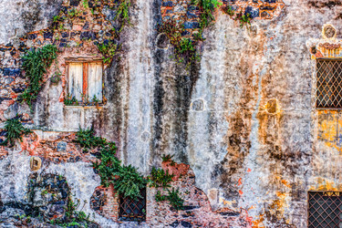 Similar image 13134552