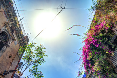 Similar image 13134571