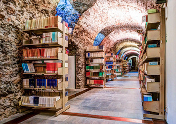 Similar image 13134611