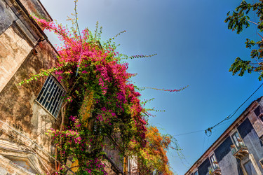 Similar image 13134628