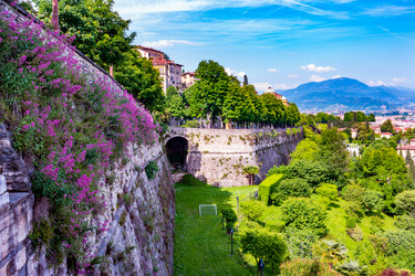 Similar image 13133638