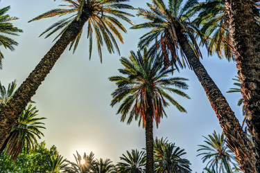 Similar image 13133929