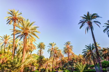 Similar image 13133950