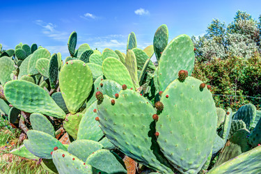 Similar image 13133988