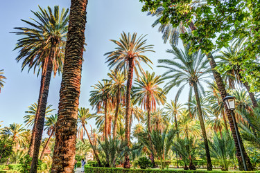 Similar image 13133990