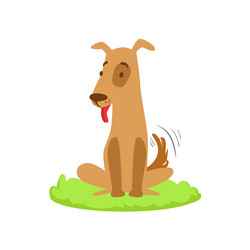 Similar image 13127077