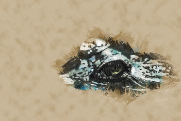 Similar image 13133592