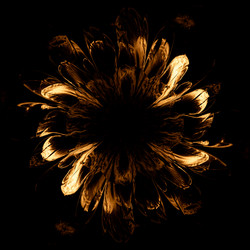 Similar image 13133647