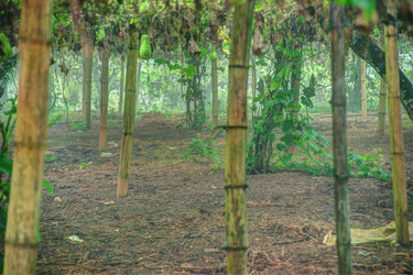 Similar image 13134823