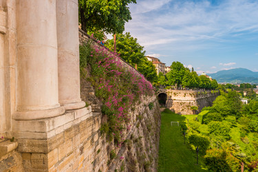 Similar image 13133611