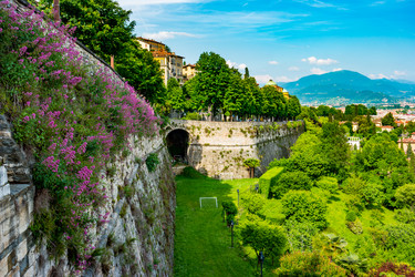 Similar image 13133667