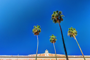 Similar image 13134386