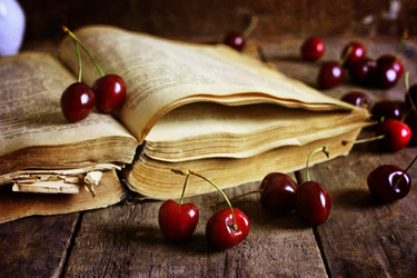 Similar image 13146390