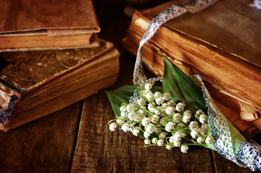 Similar image 13146053