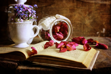 Similar image 13145961